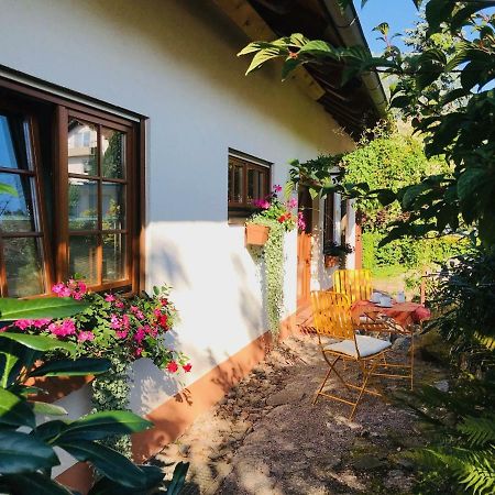 Ferienhaus Zirbe Rickenbach  Exterior photo